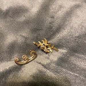 Cartilage Ear Pieces